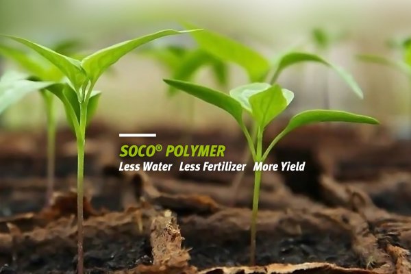 Study on the Interaction Mechanism of SAP and Fertilizer an Soil