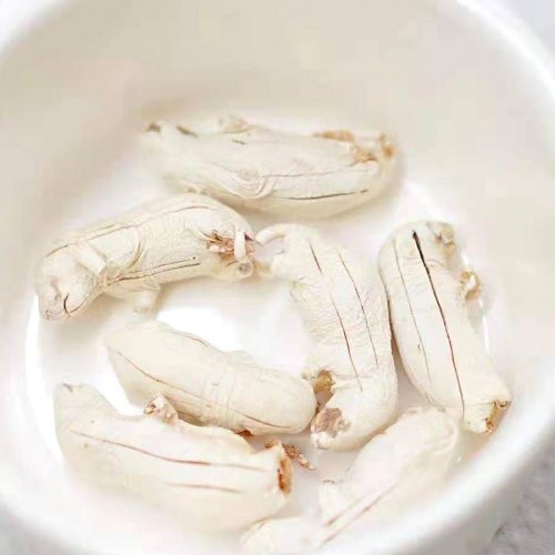 Freeze-dried baby mice